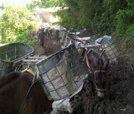 顺德区马帮搬运