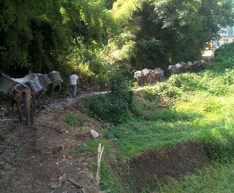 顺德区马帮运输队