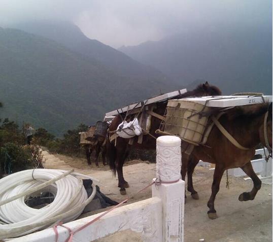 顺德区山区马帮运输