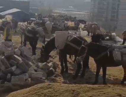 顺德区马队山路运输