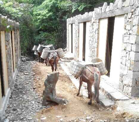 顺德区马队运输队