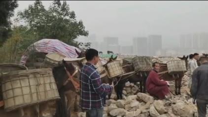 顺德区骡马山区运输