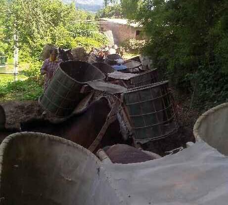 顺德区骡马运输队