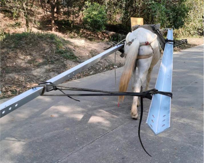 顺德区马队搬运