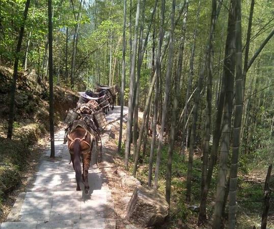 顺德区山路马队运输